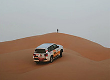 博鱼：在兴趣的海洋里遇见更好的自己